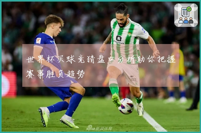 世界杯买球竞猜盘口分析助你把握赛事胜负趋势