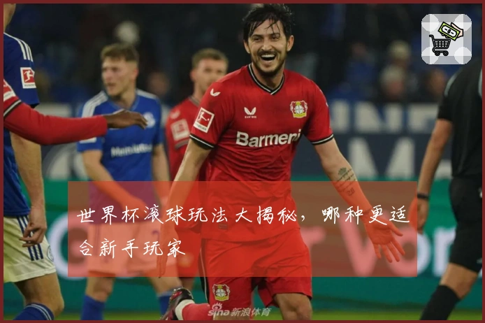 世界杯滚球玩法大揭秘，哪种更适合新手玩家