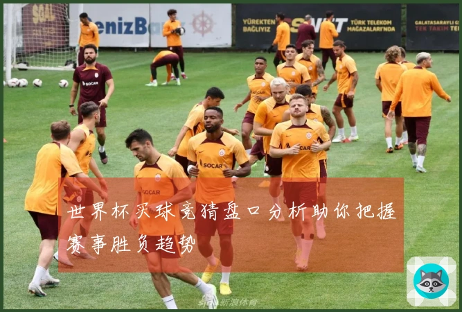 世界杯买球竞猜盘口分析助你把握赛事胜负趋势