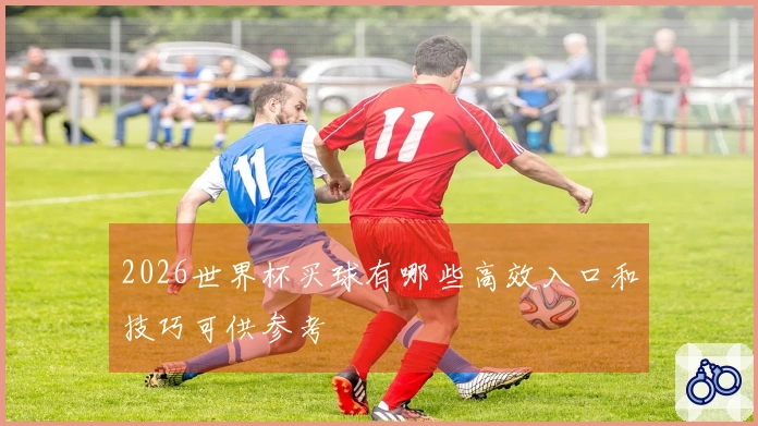 2026世界杯买球有哪些高效入口和技巧可供参考