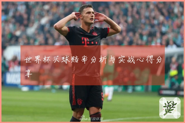 世界杯买球赔率分析与实战心得分享