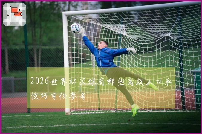 2026世界杯买球有哪些高效入口和技巧可供参考
