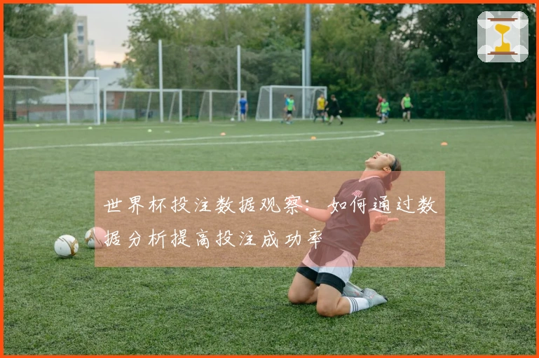 世界杯投注数据观察：如何通过数据分析提高投注成功率