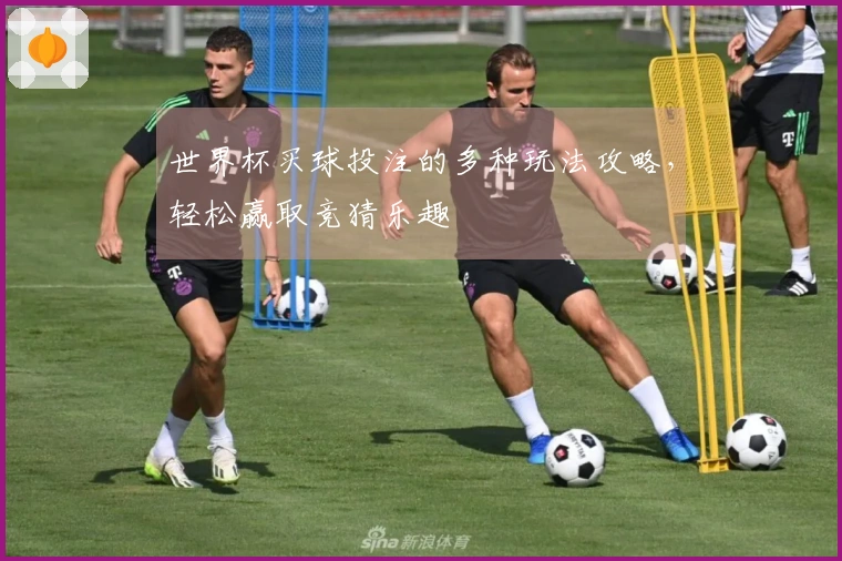 世界杯买球投注的多种玩法攻略，轻松赢取竞猜乐趣