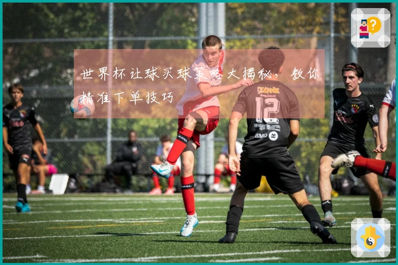 世界杯让球买球策略大揭秘，教你精准下单技巧