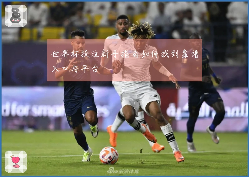 世界杯投注新手指南如何找到靠谱入口与平台