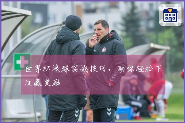 世界杯滚球实战技巧，助你轻松下注赢奖励